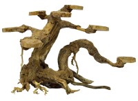 Superfish BONSAI PLANTER SMALL gallery