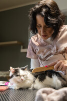 Kamm rotierende Zinken gegen kleine Knötchen Babu 3