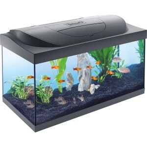 Tetra Starter Line LED Aquarium 54l