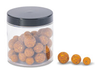 ANACONDA AI Carp R2 4