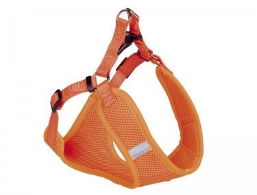 neon orange