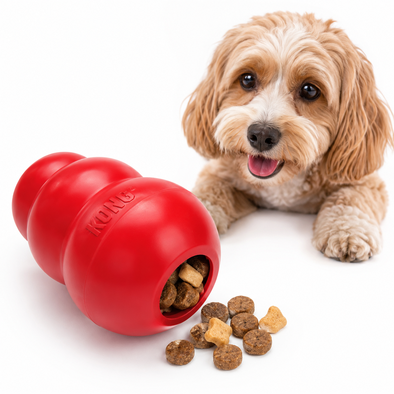 KONG Classic Hundespielzeug rot mit Leckerlis und Hund
