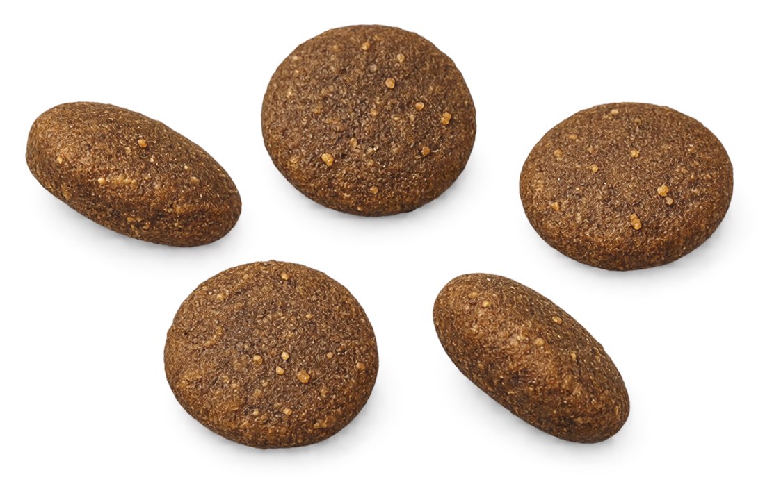 Kroketten dieser Sorte